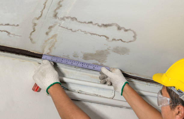 Reliable Water Extraction contractor in New Castle, CO by Water Damage Irwin